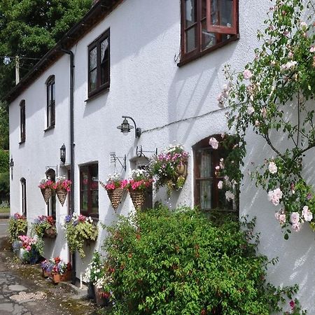 Shepherds Row Bed And Breakfast West Haddon Esterno foto